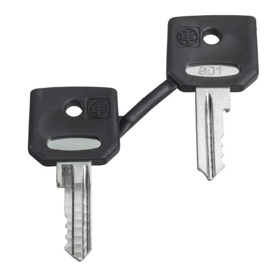 Picture of set of 2 keys 4A185