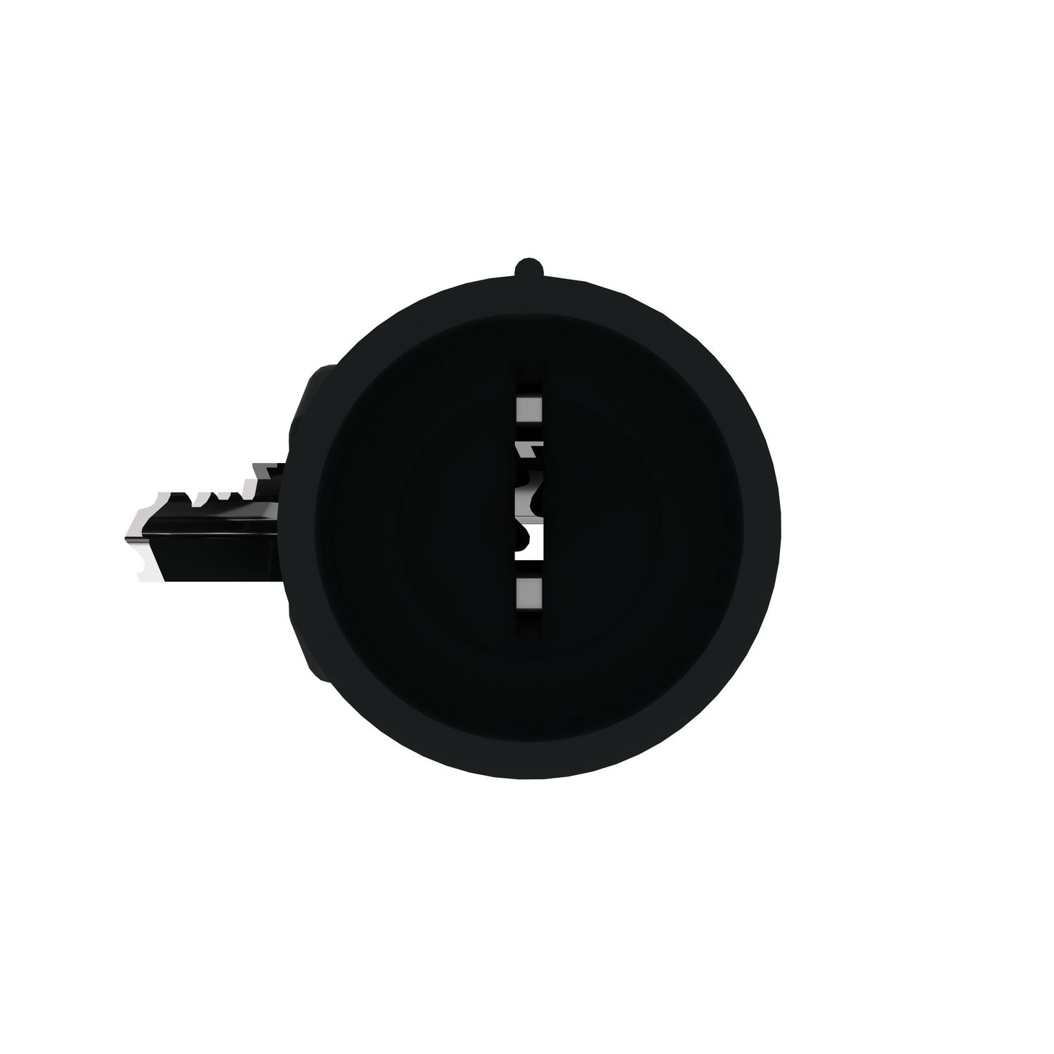 Picture of Key, Harmony XB4, Set of 2 keys, key 455 with one booted