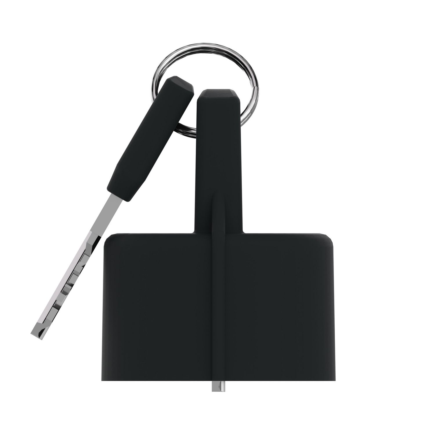 Picture of Key, Harmony XB4, Set of 2 keys, key 455 with one booted