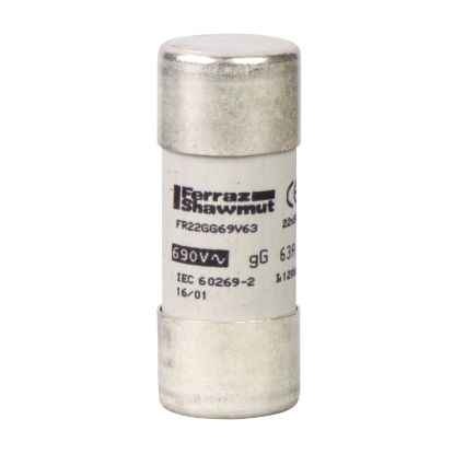 Picture of NFC cartridge fuses, TeSys GS, cylindrical, 22mm x 58mm, fuse type gG, 690VAC, 10A, without striker, set of 10 parts