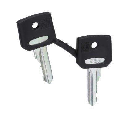 Picture of Key, Harmony XB4, emergency stop push button, key 455, set of 2 keys