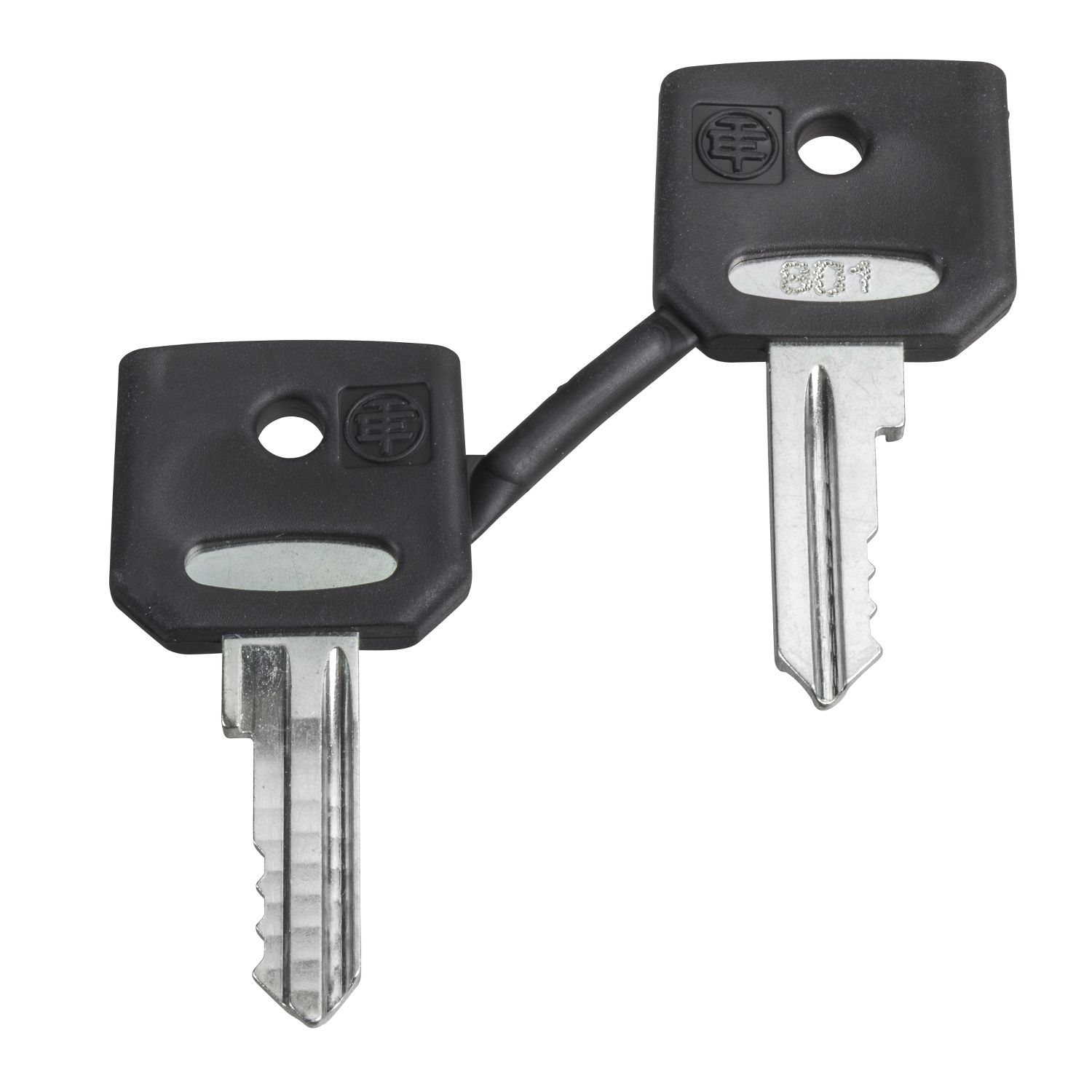 Picture of Key, Harmony XB4, emergency stop push button, key 3131A, set of 2 keys