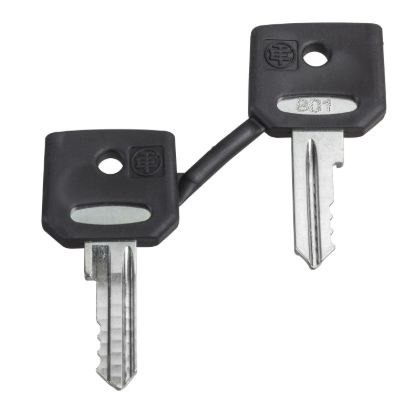 Picture of Key, Harmony XB4, emergency stop push button, key 3131A, set of 2 keys
