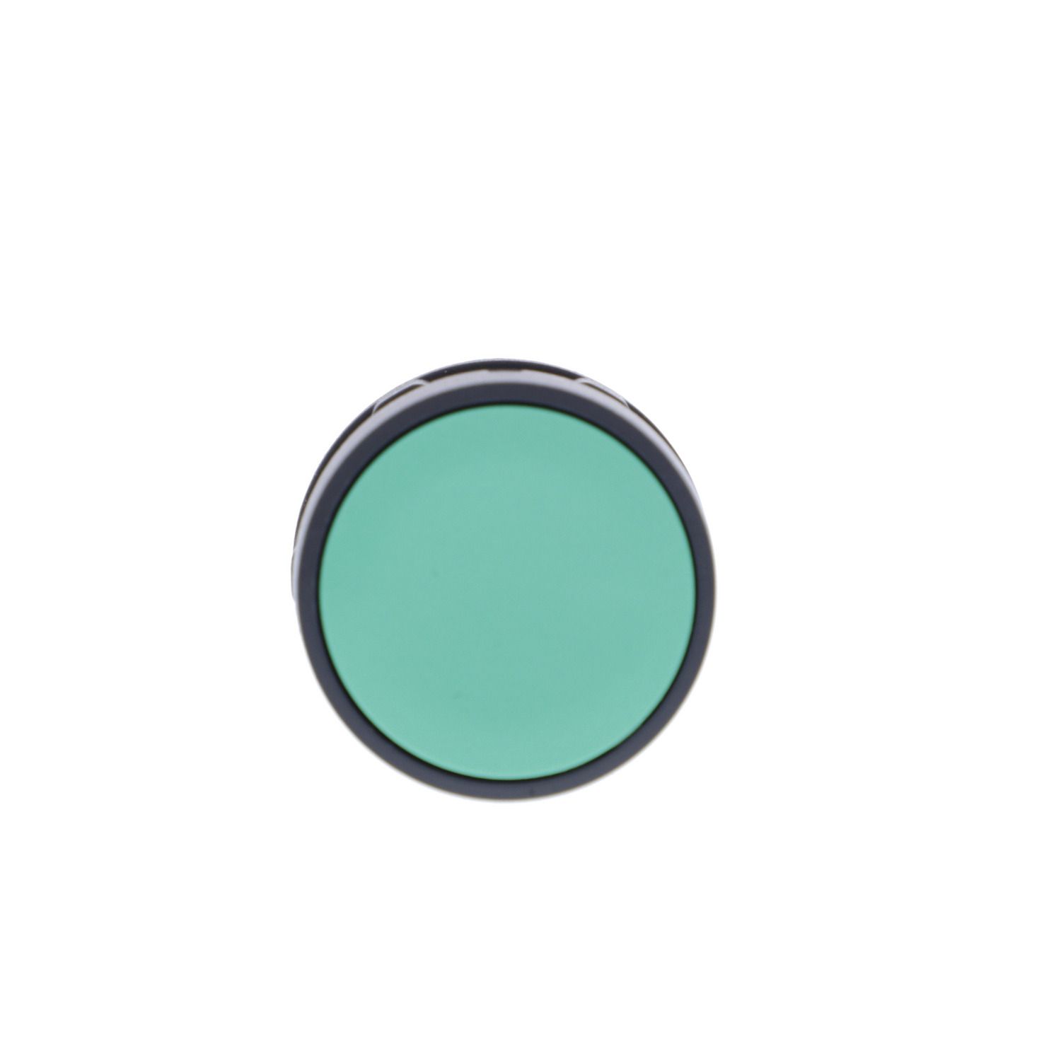 Picture of Monolithic push button, Harmony XB7, plastic, green, 22mm, spring return, unmarked, 1NO