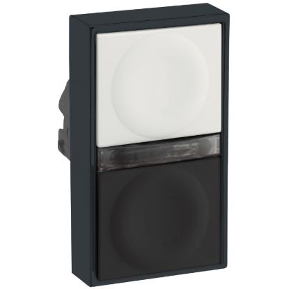 Picture of white flush/black flush illuminated double-headed pushbutton Ø22 unmarked