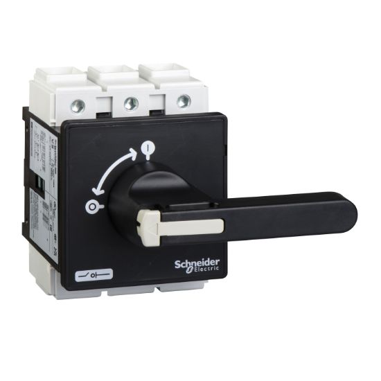 Picture of Switch disconnector, TeSys Mini-Vario, 175A, on door