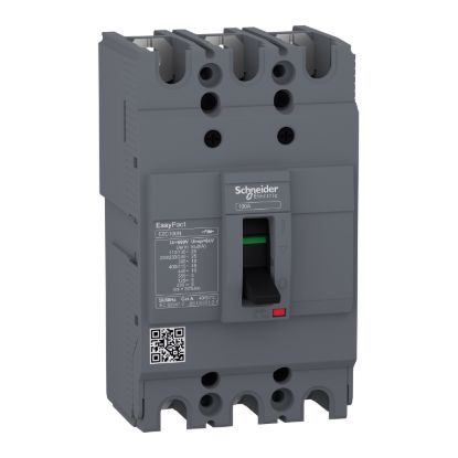 Picture of circuit breaker,EasyPact EZC100N ,TMD, 60A ,3 poles 3d