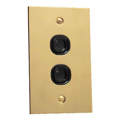 Picture of Flat Plate, C-Bus Control and Management System, Key Input, 2 Gang, B Style, Learn Enabled, Brass