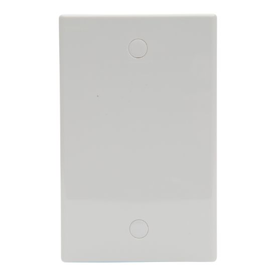 Picture of Blank Switch Plate; White