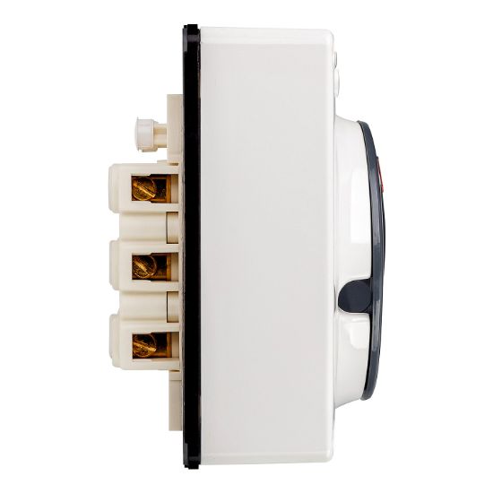 Picture of Switch, 32A, 415V, 3-Pole, Resistant White