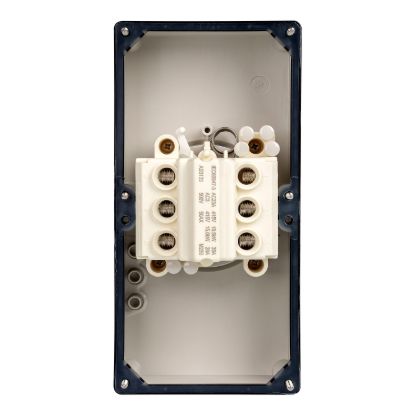 Picture of Switch, 50A, 415V, 3-Pole, 2-Gang, Grey