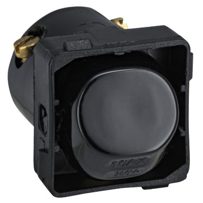 Picture of Switch Mechanism, 30 Series, 250V, 10A, 1 Way/2 Way