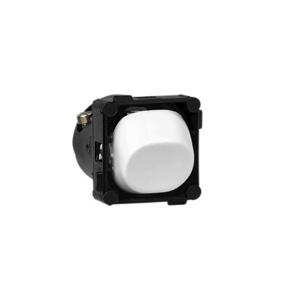 Picture of Switch Mechanism, 30 Series, 250V, 10A, 1 Way/2 Way