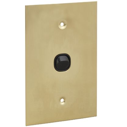 Picture of Flush Switch, Metal Plate Series, 1 Gang, 250VAC, 10A, Range, BBSL Style, Standard, Vert