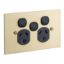 Picture of Twin Switch Socket Outlet, Metal Plate Series, 250V, 10A, BBSL Style, Flat Plate, Rmvb Extra Switch