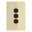 Picture of Flush Switch, Metal Plate Series, 3 Gang, 250VAC, 10A, Range, BBSL Style, Standard, Vert