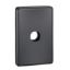Picture of Switch Grid Plate and Cover, Classic C2000 Series, 1 Gang, Less Mechanism, Standard Size
