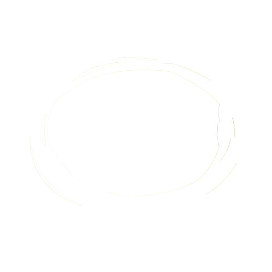 Picture of FL-MLink trunk cable, Actassi, 12MTP/M-12MTP/M, OS2, LSZH, 10 m, straight through