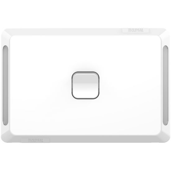Picture of Flush Switch, Pro Series, Horizontal Mount, 1 Gang, 1-Way/2-Way, 230/240V 20A, 16AX