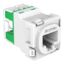 Picture of RJ45 Jack, Clipsal Actassi, CAT5E UTP 30M