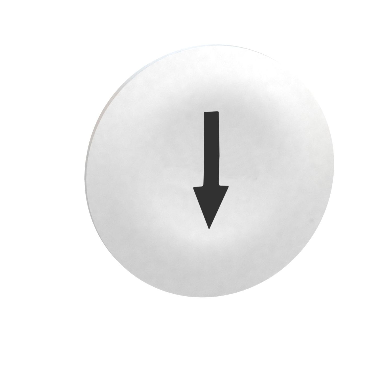 Picture of Cap for multiple-headed push button, Harmony XB4, wireless, plastic, white, 22mm, black marked arrow