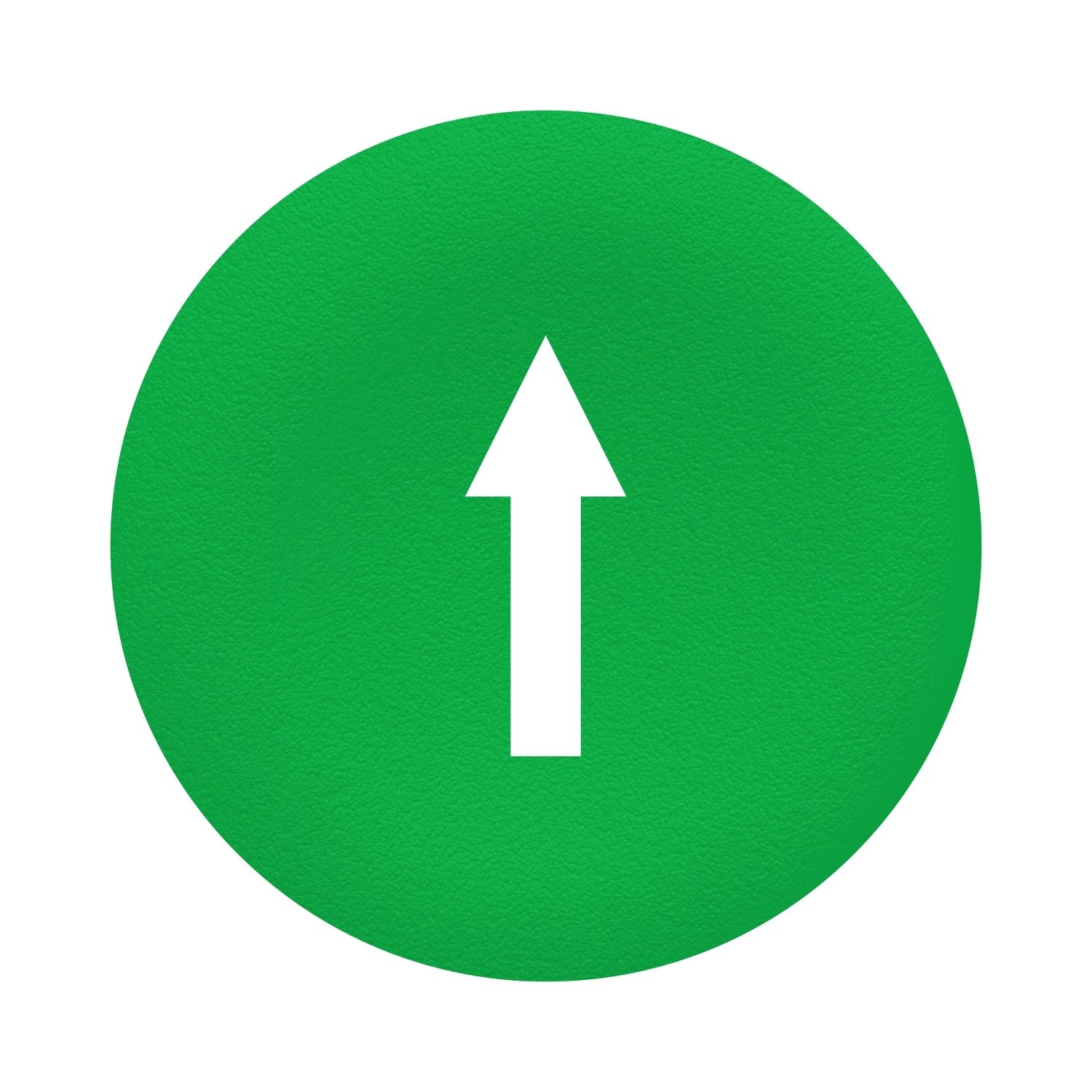 Picture of green cap marked arrow for rectangular multiple-headed pushbutton 22mm