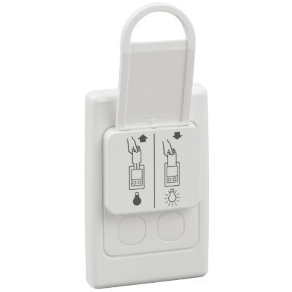 Picture of Keytag Type Switches, 2000 Series, Suit 3 x 20A Circuits - with extra Neon