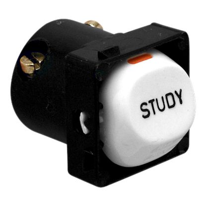 Picture of Mechanism, 30 Series, Marked STUDY, 10A