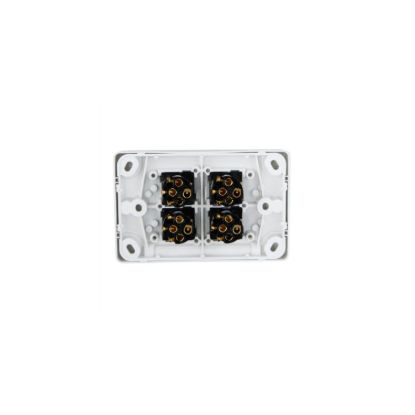 Picture of Flush Switch, Classic C2000 Series, 4 Gang, 250VAC, 10A, Standard, Horizontal