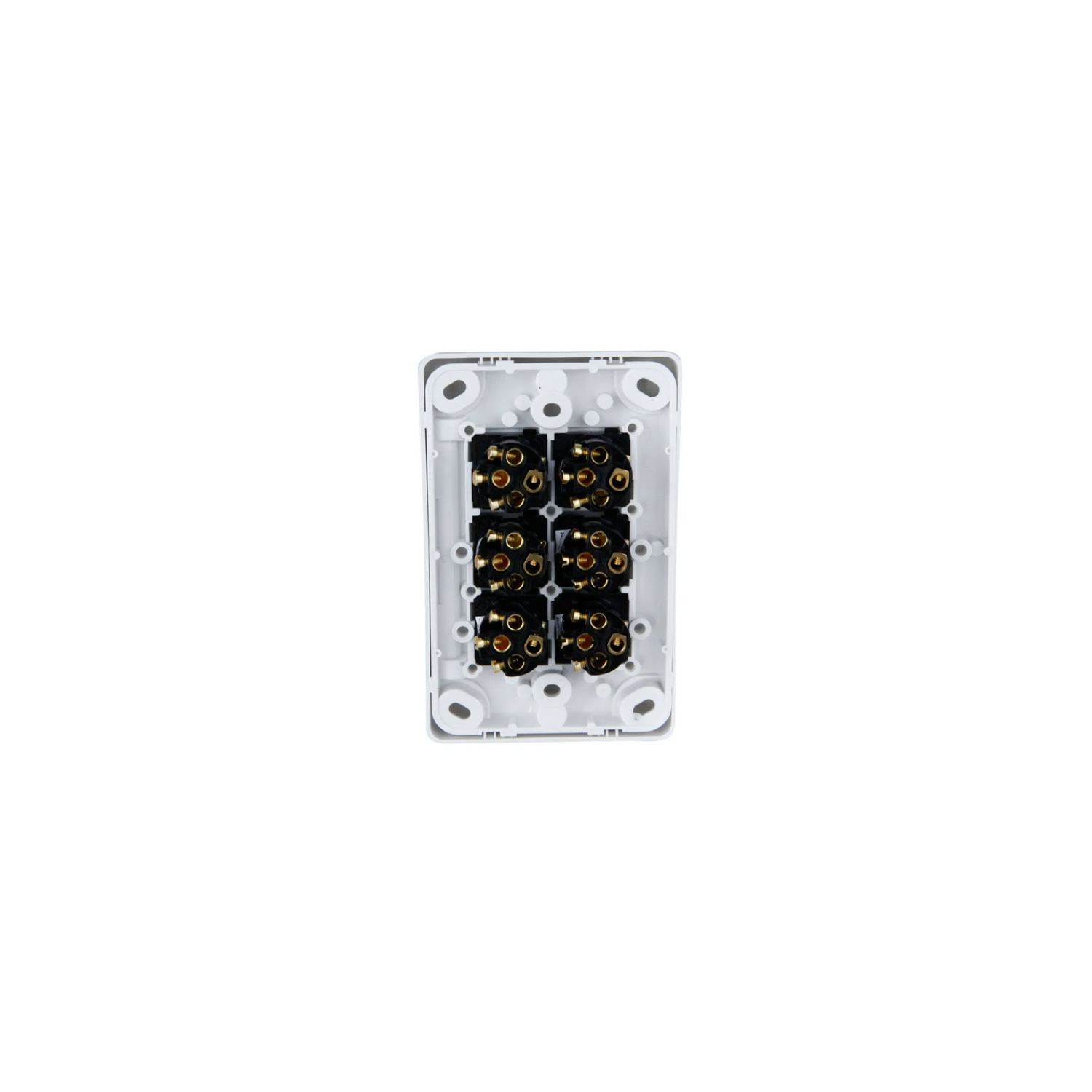 Picture of Flush Switch, Classic C2000 Series, 6 Gang, 250VAC, 10A, Standard, Vertical