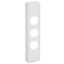 Picture of Switch Plate Cover, Classic C2000 Series, 3 Gang, Architrave