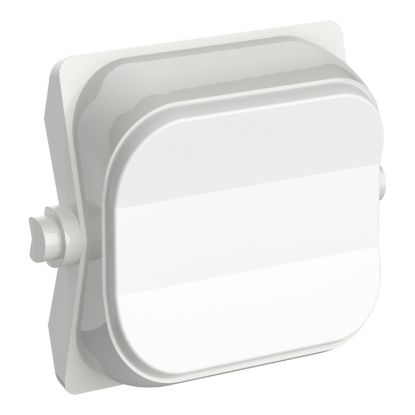 Picture of Rocker Toggle, Clipsal Iconic, 3-Position Blank