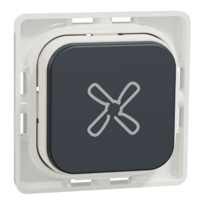 Picture of Push Button Assembly, Clipsal Iconic, Fan