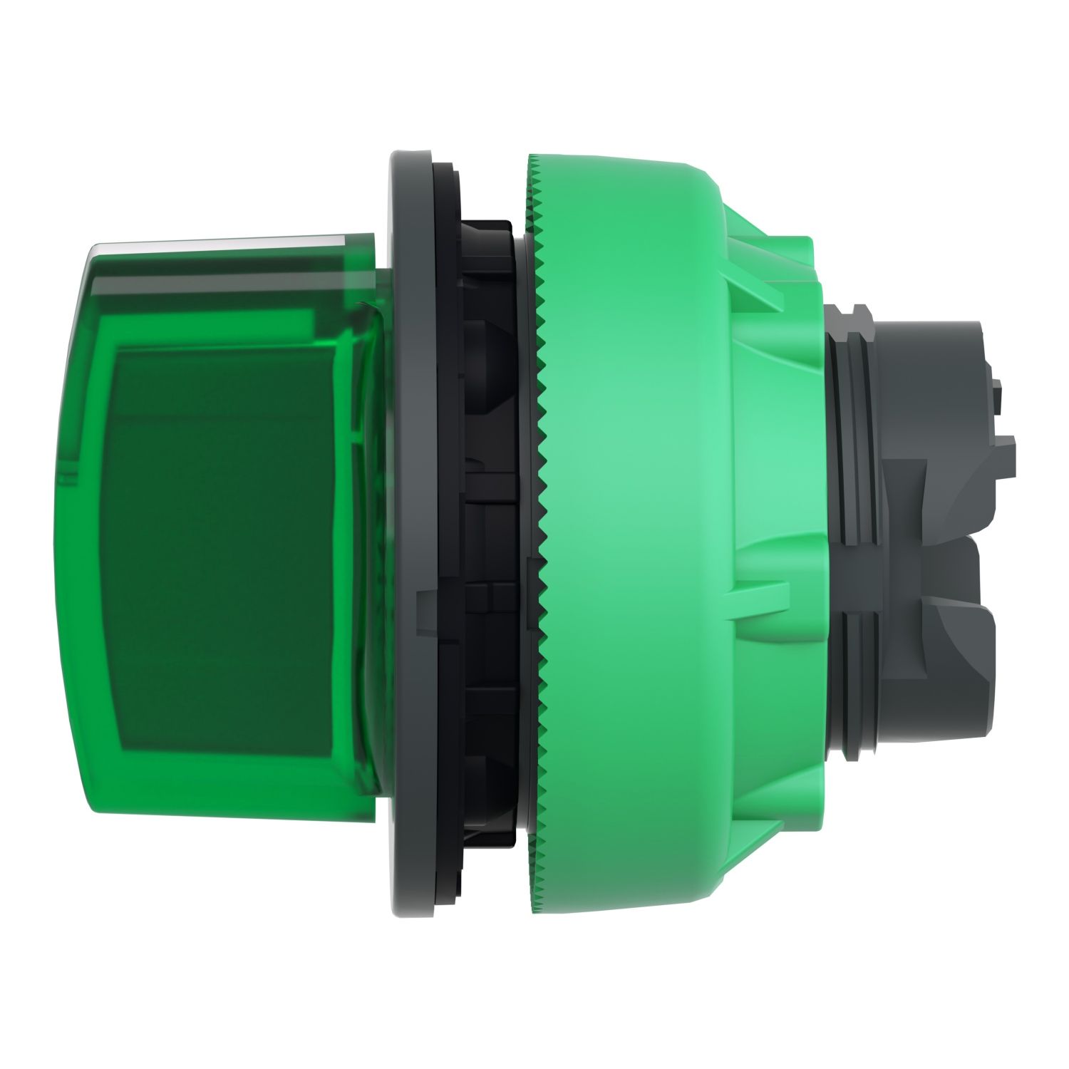Picture of Head for illuminated selector switch, Harmony XB5, plastic, green handle, universal LED, 3 positions, to center