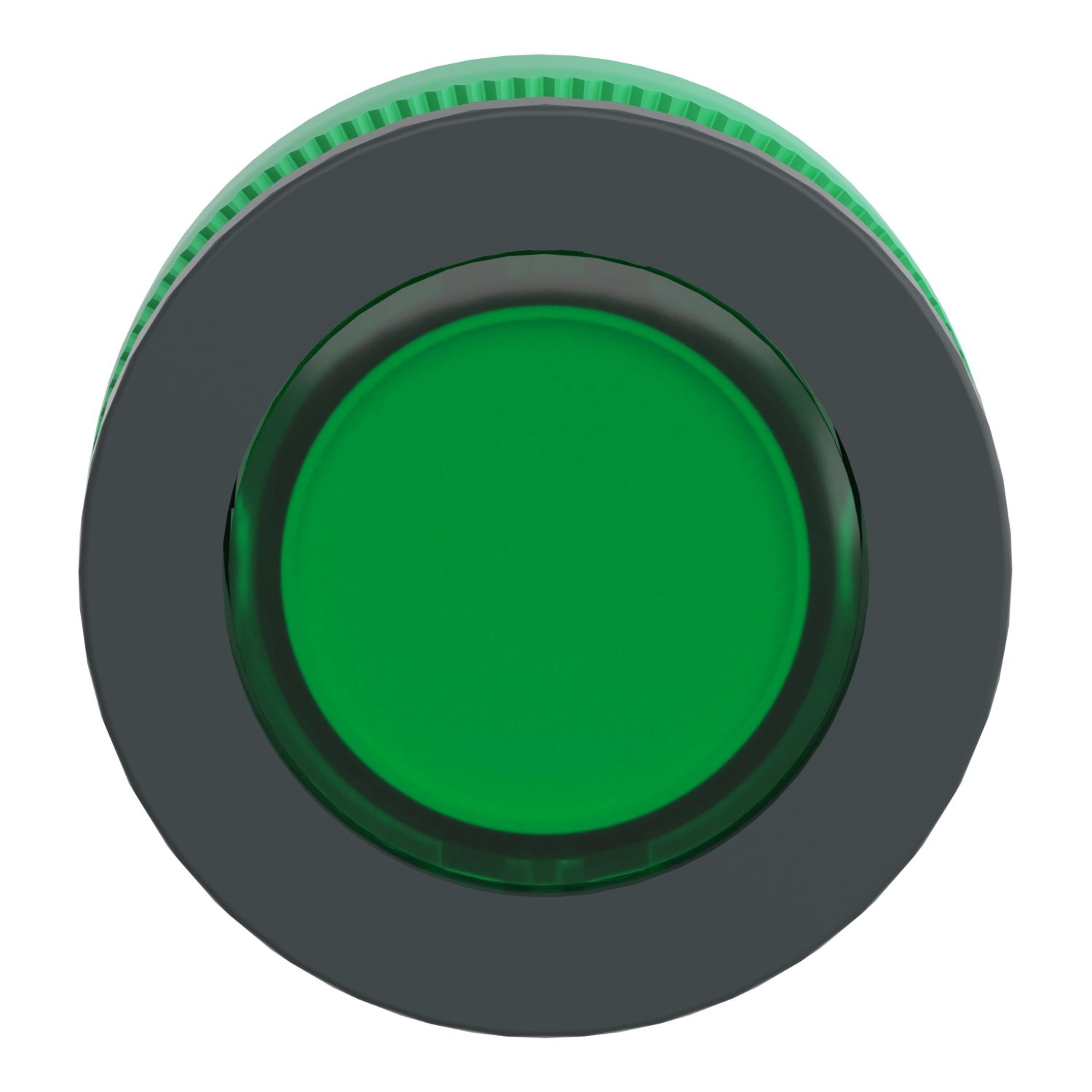 Picture of Head for illuminated push button, Harmony XB5, antimicrobial, plastic, green flush mounted, 30mm, universal LED,