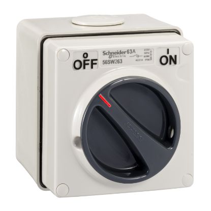 Picture of SWITCH SURF PVC IP66 1G DP 63A