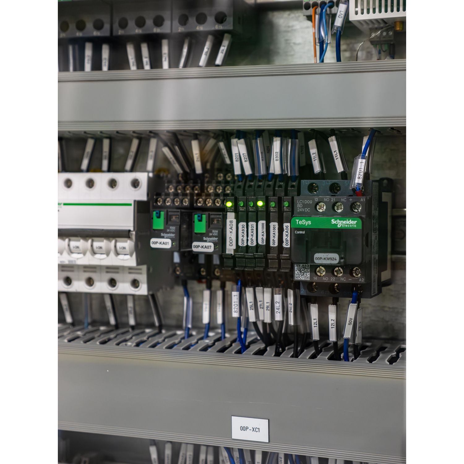Picture of Protection module, Harmony Electromechanical Relays, with Varistor, for RPZ RXZ sockets, 24...60V AC DC