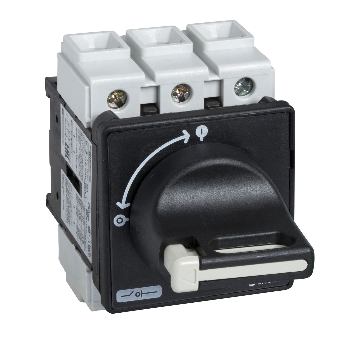 Picture of Switch disconnector, TeSys Mini-Vario, 25A, on door
