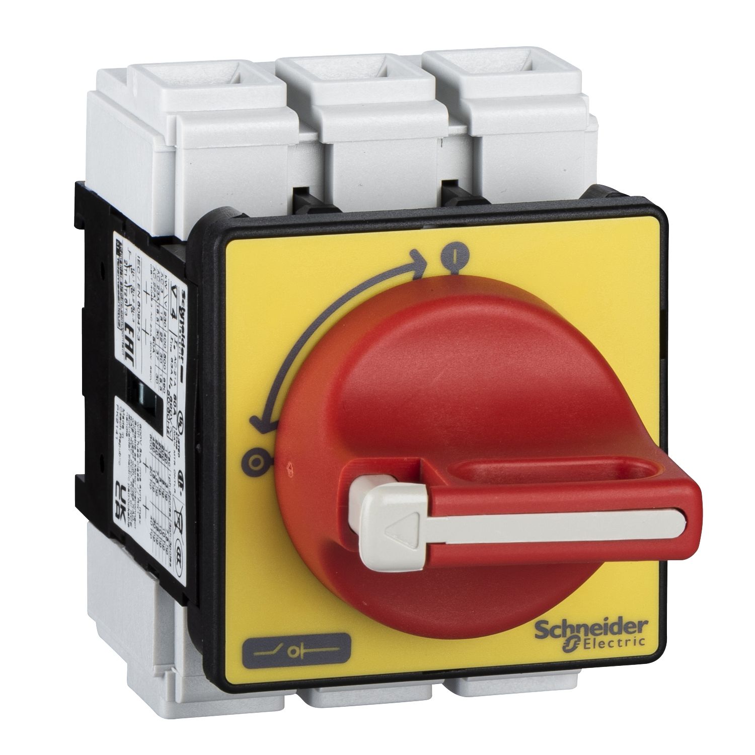 Picture of Emergency stop switch disconnector, TeSys Mini-Vario, 80A, on door