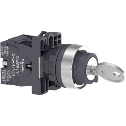 Picture of Comp SS plast key455 3pos spr ret 2NO