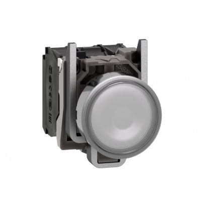 Picture of Illuminated push button, Harmony XB4, metal, white flush, 22mm, universal LED, plain lens, 1NO + 1NC, 24V AC DC