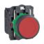 Picture of Push button, Harmony XB5, plastic, flush, red, 22mm, spring return, unmarked, 1NC