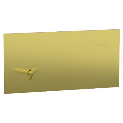 Picture of Switch, Clipsal Solis T Series, 1 gang, horizontal, 16AX/20A, brushed brass