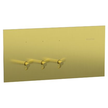 Picture of Switch, Clipsal Solis T Series, 3 gangs, horizontal, 16AX/20A, brushed brass