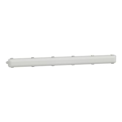 Picture of Batten Weatherproof LED, Clipsal - Lighting, 36W, 1200mm, 3000K / 4000K / 6500K, IP65, IK08, white