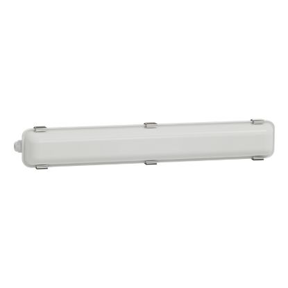 Picture of Batten Weatherproof LED, Clipsal - Lighting, 18W, 600mm, 3000K / 4000K / 6500K, IP65, IK08, white