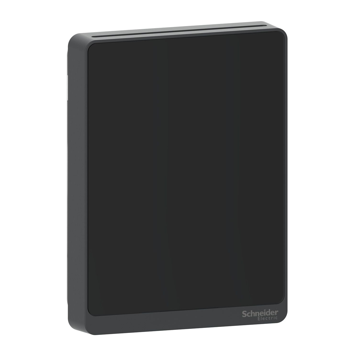 Picture of Sensor,SpaceLogic,PM1,PM2.5,PM4,PM10,Analog,Optm Bk