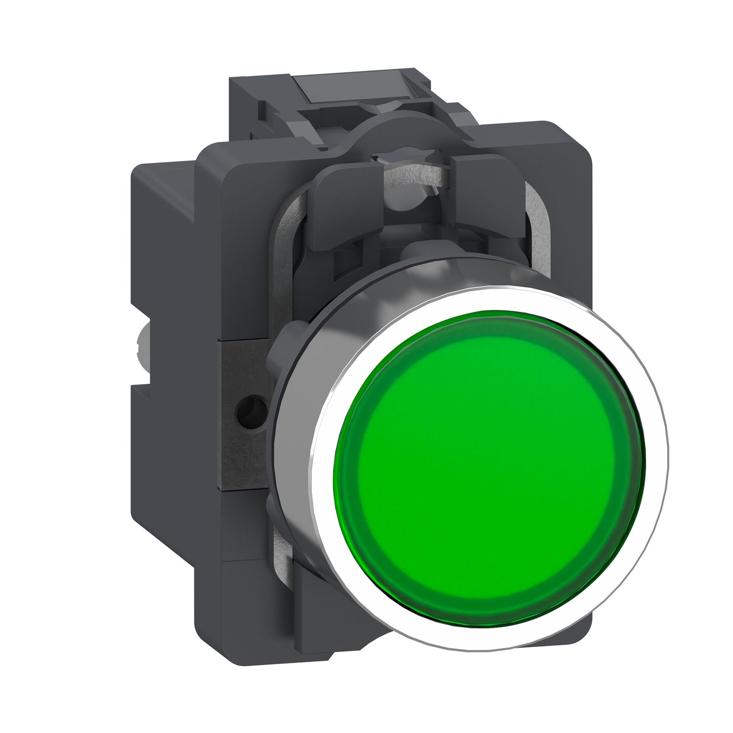 Picture of Complete illuminated push button, Easy Harmony XA2, plastic head, 22mm, green, 1NO, AC/DC 24V, spring return