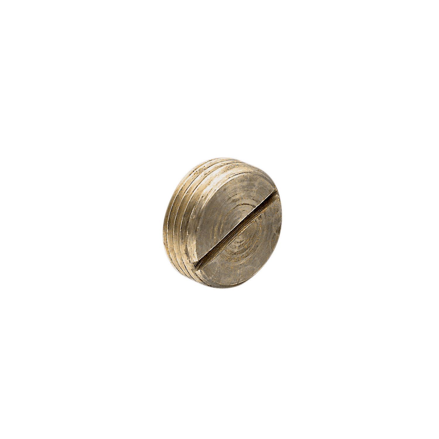 Picture of Screwed Conduit, Clipsal - Cable Management, 20mm, Brass Plug