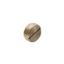 Picture of Screwed Conduit, Clipsal - Cable Management, 20mm, Brass Plug